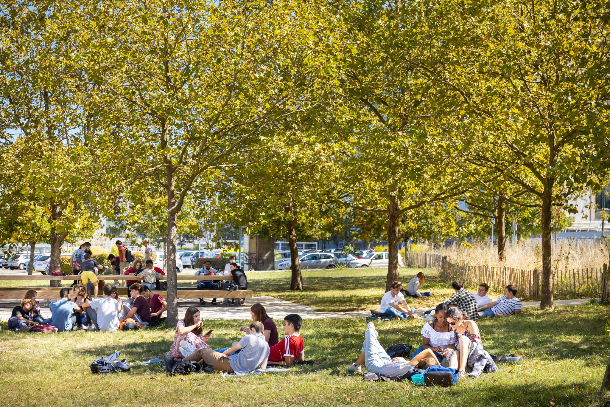 Crédit photo Université de Bordeaux