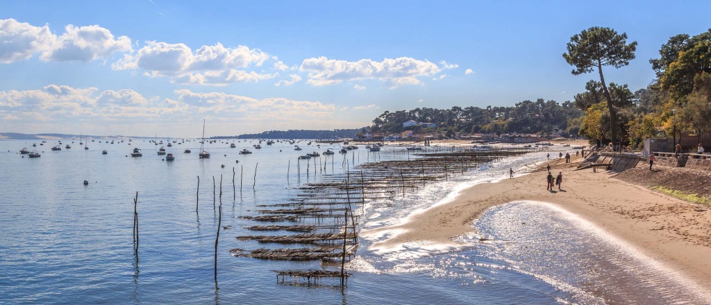 Crédit : my-capferret.com